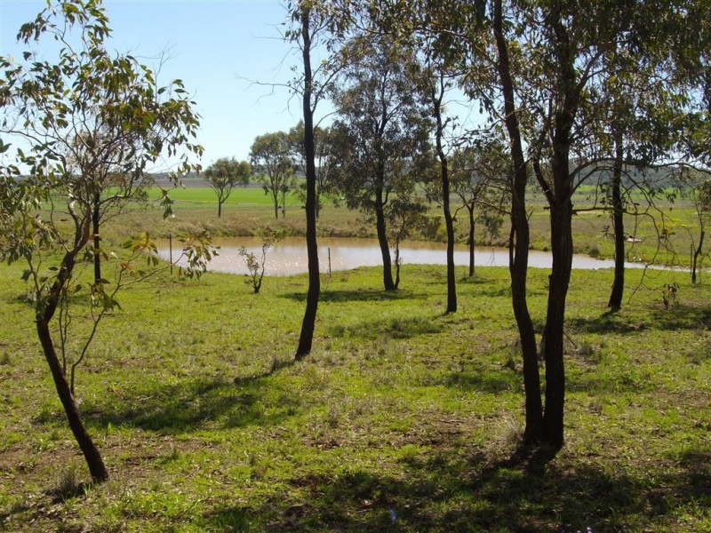 Lot 39 Felton Nobby Road, Nobby QLD 4360