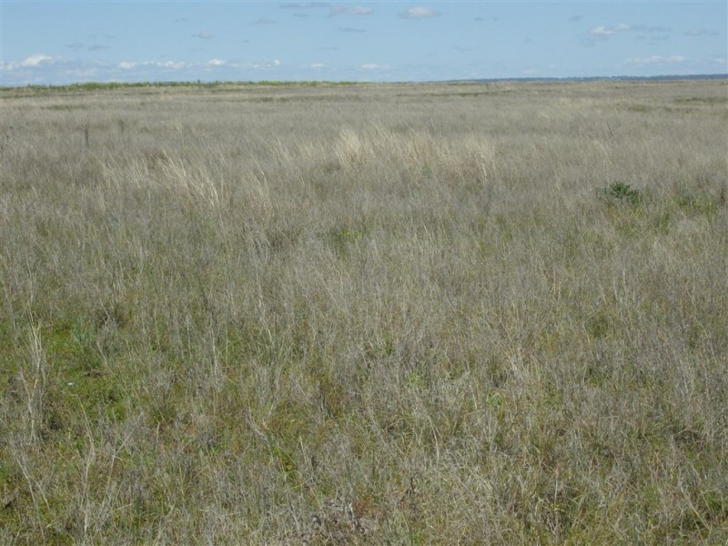 Lot 39 Felton Nobby Road, Nobby QLD 4360