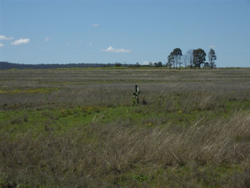 Lot 39 Felton Nobby Road, Nobby QLD 4360