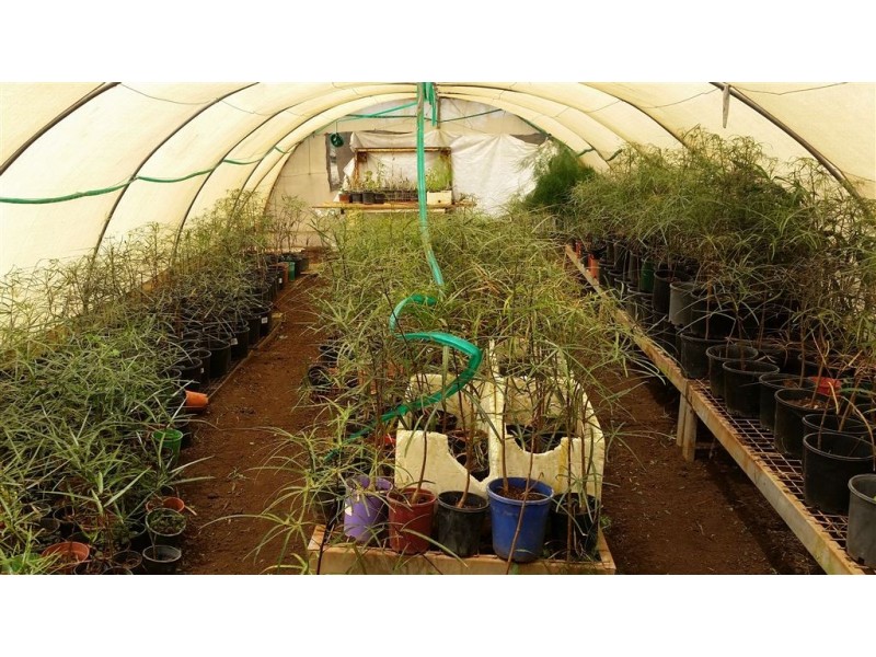 8 Holsteins Road, Brymaroo QLD 4403