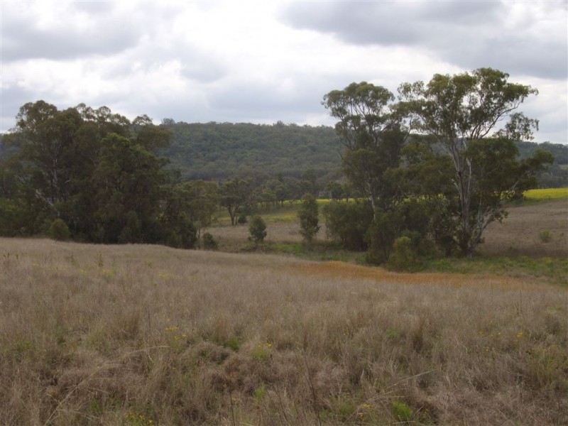 534 Linthorpe Valley Road, Southbrook QLD 4363