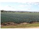 Lockyer QLD 4344