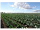 Lockyer QLD 4344