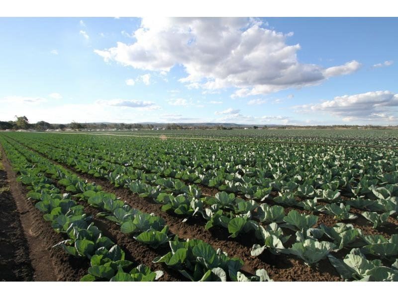 Lockyer QLD 4344