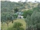 Toowoomba QLD 4350