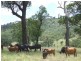 Toowoomba QLD 4350