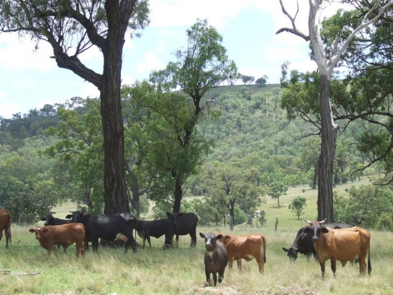 Toowoomba QLD 4350
