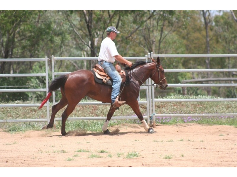 32 Henningsen Road, Charlton QLD 4350