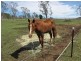 Lot 1 / 13295 New England Highway, Cambooya QLD 4358