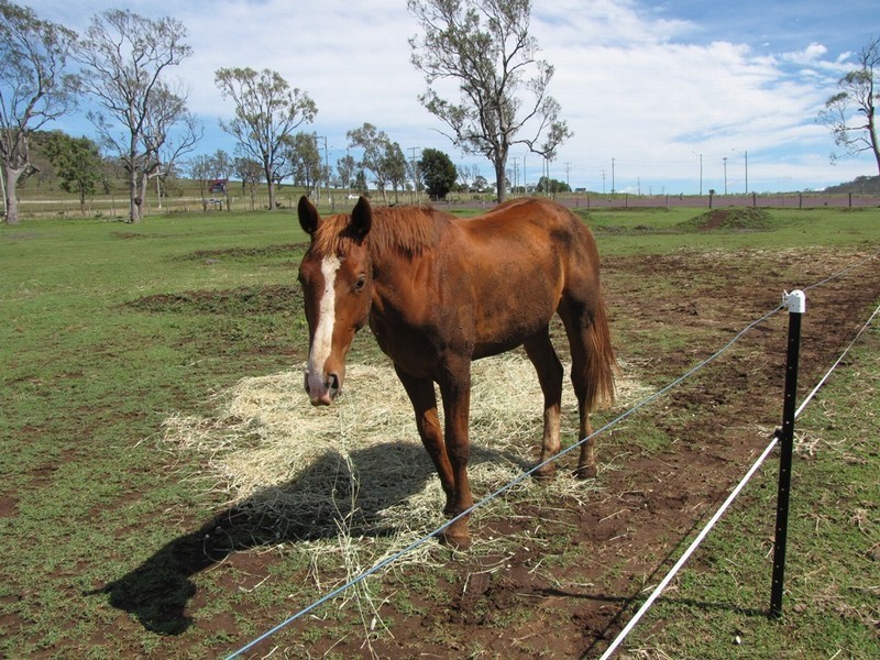 Lot 1 / 13295 New England Highway, Cambooya QLD 4358