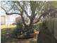 Harristown QLD 4350