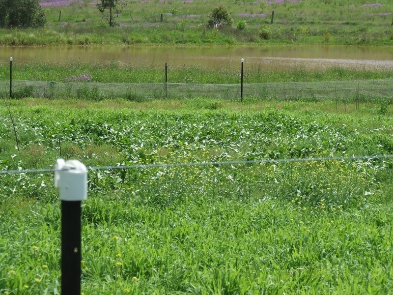 173 Lipp Road, Greenmount East QLD 4359