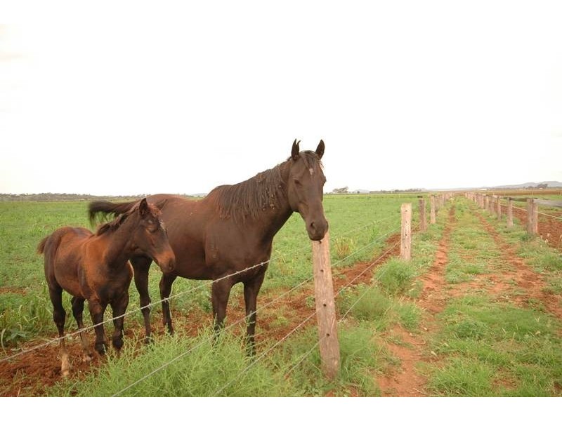 90 Devon Park Road, Oakey QLD 4401