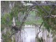 173 Lipp Road, Toowoomba QLD 4350