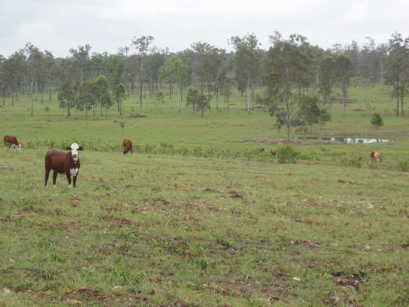 Maryborough QLD 4650