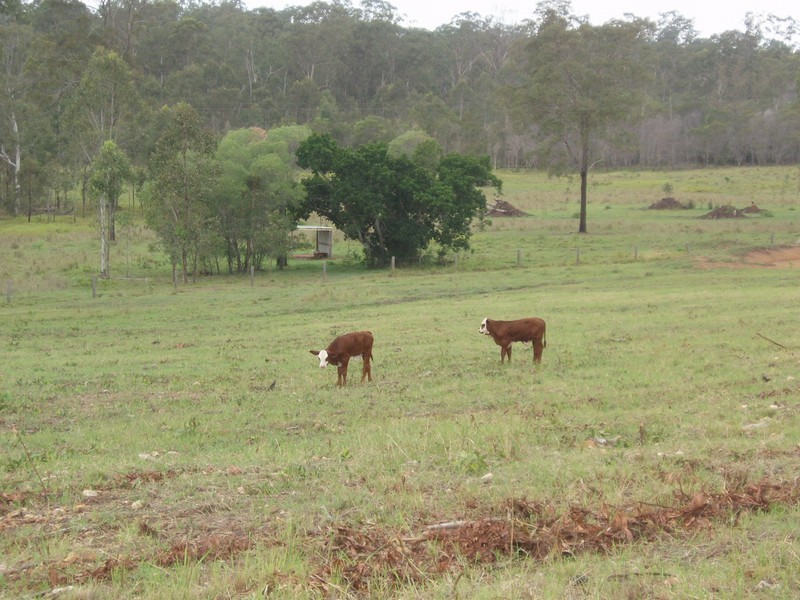 Maryborough QLD 4650