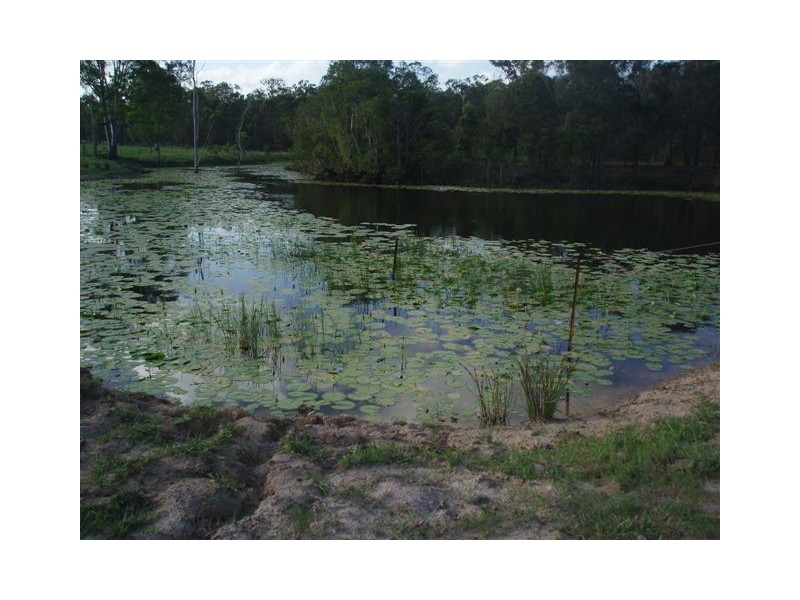 153 Pallant Road, Maryborough QLD 4650
