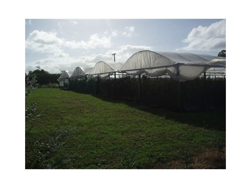153 Pallant Road, Maryborough QLD 4650