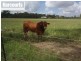 Lot 174 Grahams Creek Road, Maryborough QLD 4650