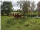 Lot 174 Grahams Creek Road, Maryborough QLD 4650