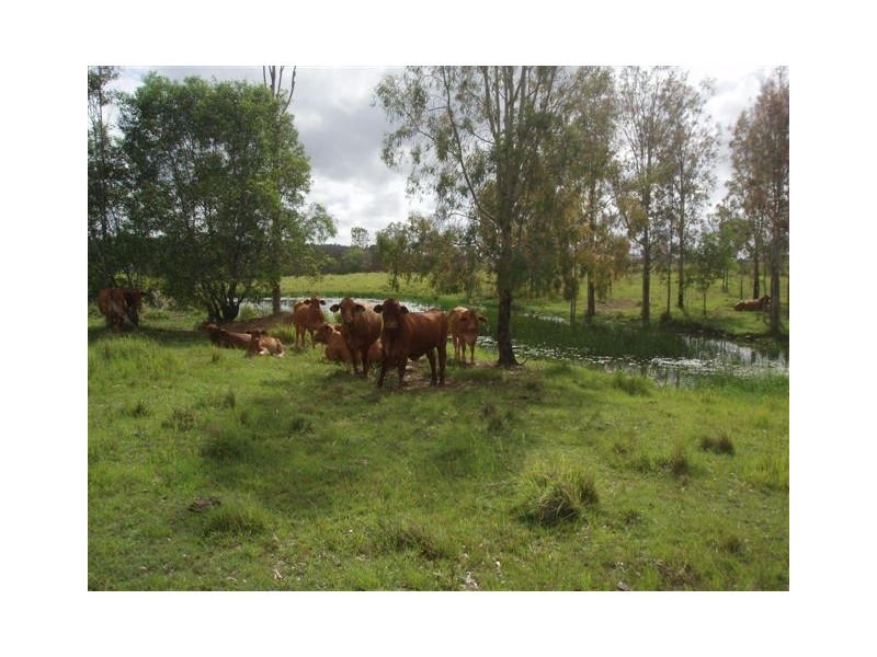 Lot 174 Grahams Creek Road, Maryborough QLD 4650