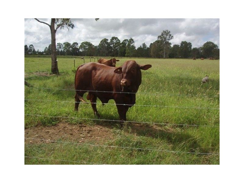 Lot 174 Grahams Creek Road, Maryborough QLD 4650