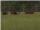 Lot 174 Grahams Creek Road, Maryborough QLD 4650