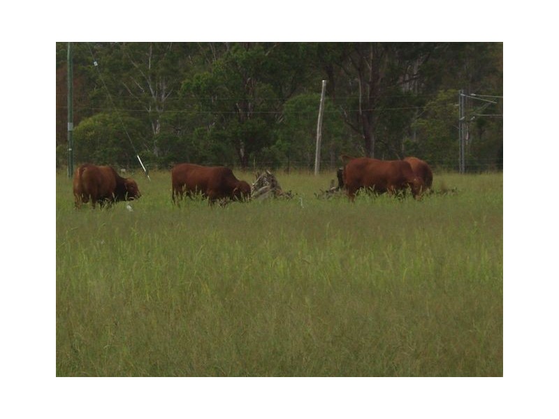 Lot 174 Grahams Creek Road, Maryborough QLD 4650