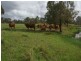 Lot 174 Grahams Creek Road, Maryborough QLD 4650