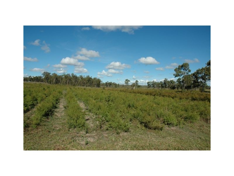 Maryborough QLD 4650