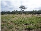 Mungar QLD 4650
