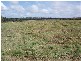 Mungar QLD 4650