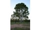 Tinana QLD 4650