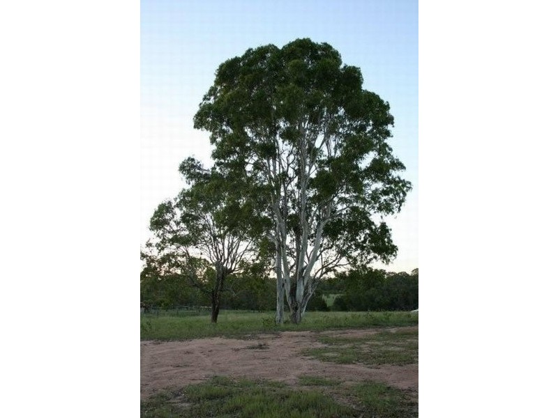 Tinana QLD 4650