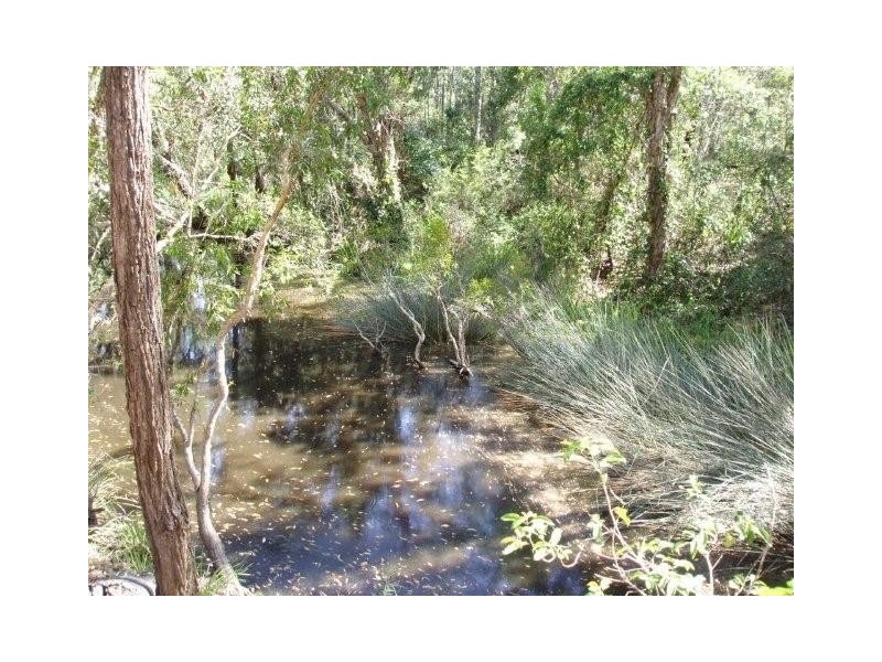 105 Nangarin Road, Oakhurst QLD 4650