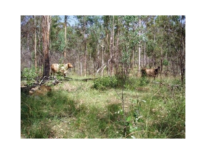 Maryborough QLD 4650