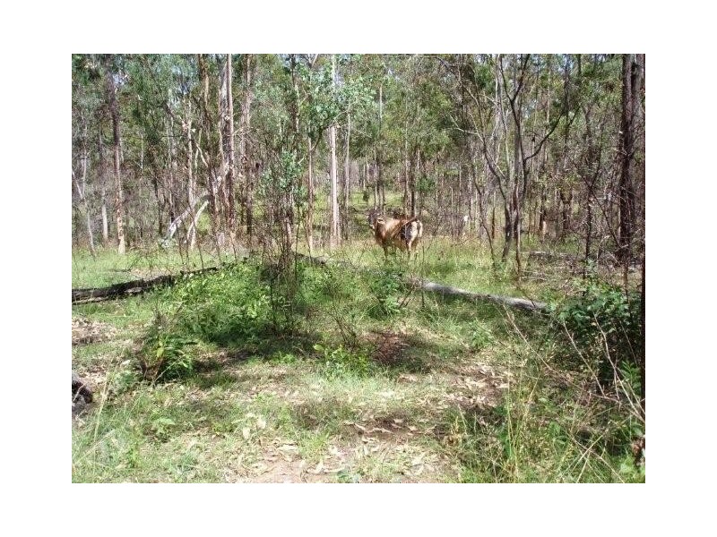 Maryborough QLD 4650