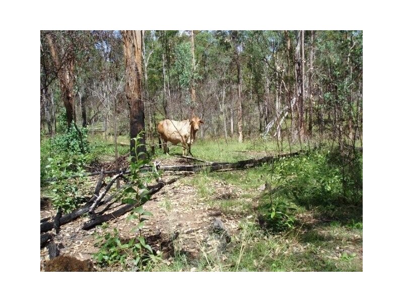 Maryborough QLD 4650