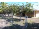 55 Eckert Road, Boonooroo QLD 4650