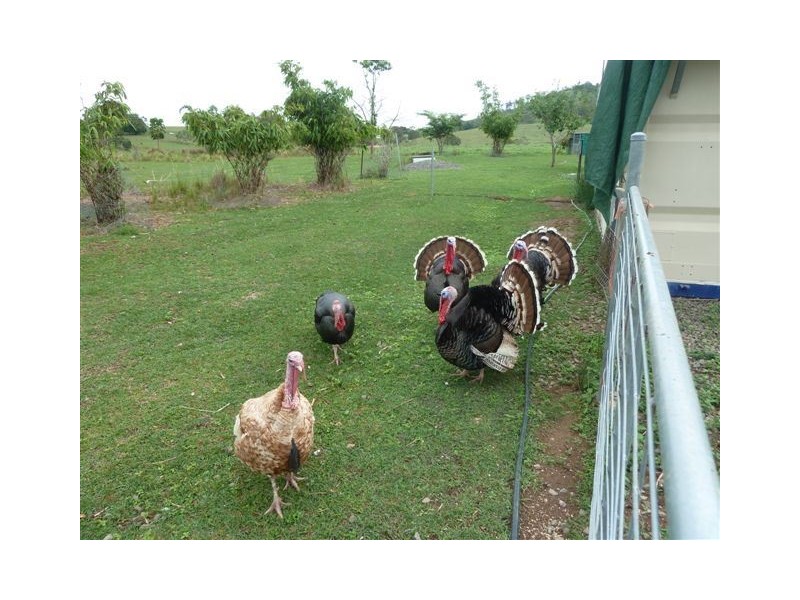 104 Bakers Road, Bauple QLD 4650