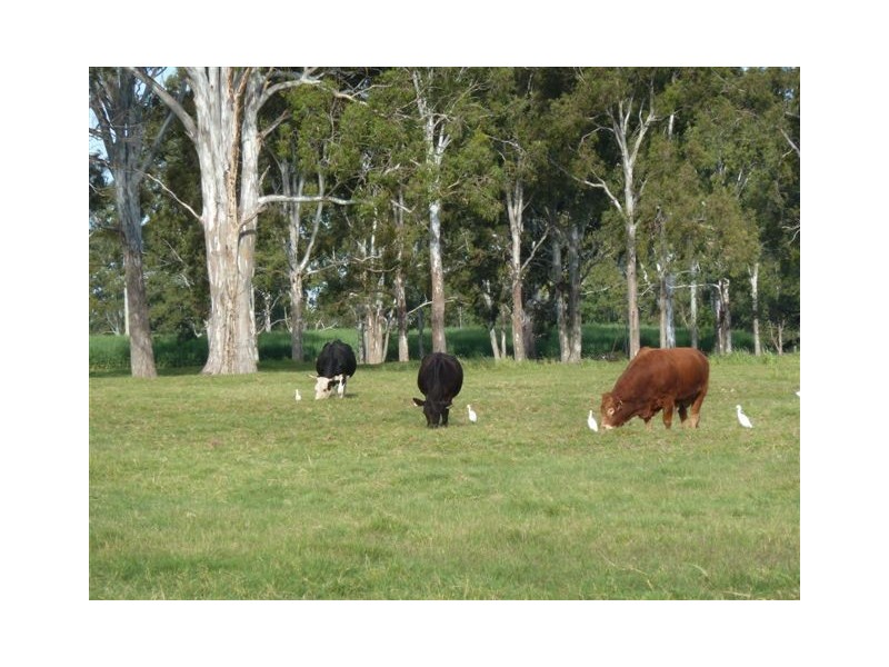 22 Norway Street, Maryborough QLD 4650