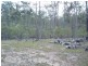 Maryborough West QLD 4650