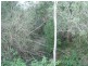 Maryborough West QLD 4650