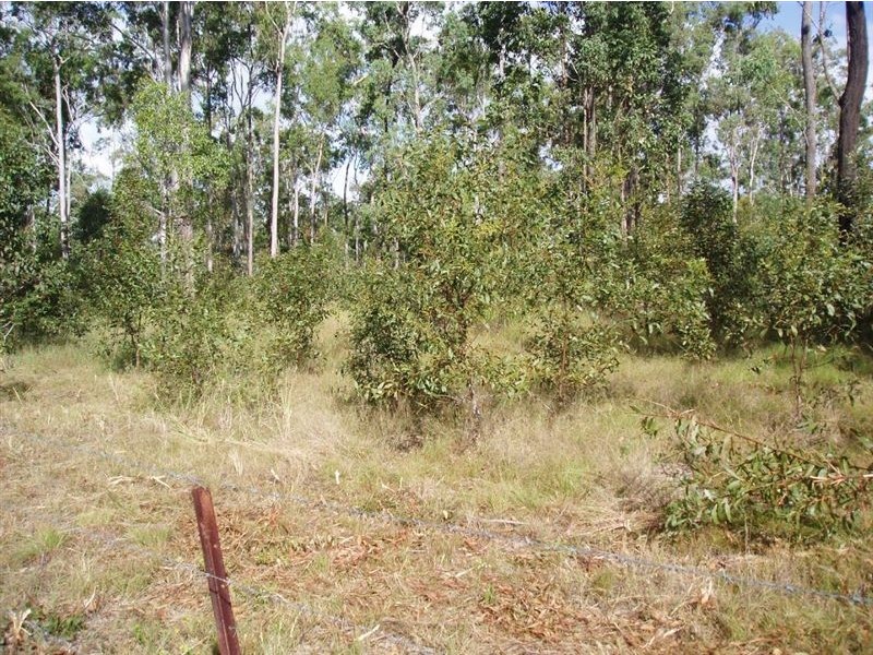 Maryborough QLD 4650