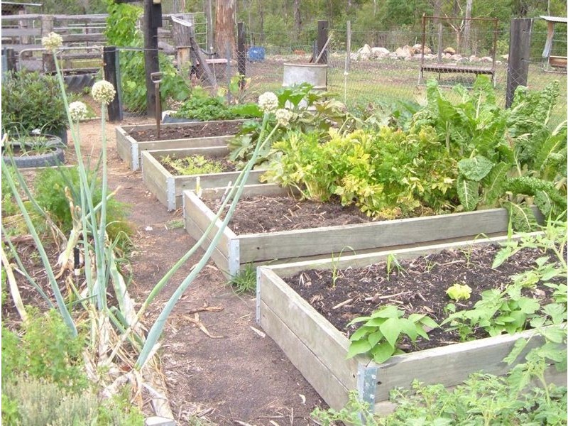 Dunmora QLD 4650