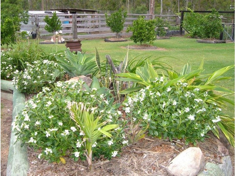 Dunmora QLD 4650
