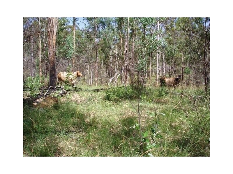 Maryborough QLD 4650