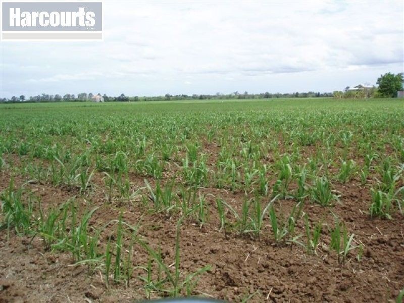 170 Island Plantation Road, Maryborough QLD 4650