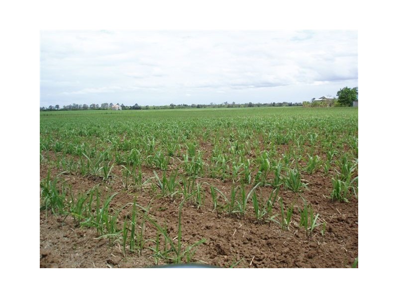 170 Island Plantation Road, Maryborough QLD 4650