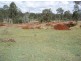 Brooweena QLD 4620